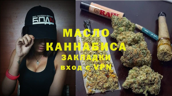 соль ск Каменка