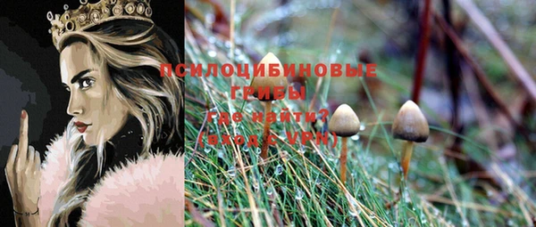 Альфа ПВП Каменногорск