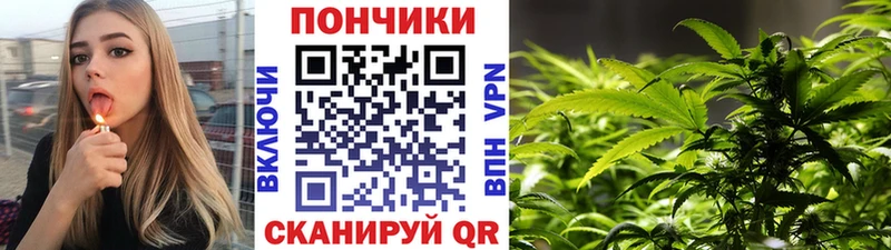 Купить где  Дюртюли  МАРИХУАНА White Widow 
